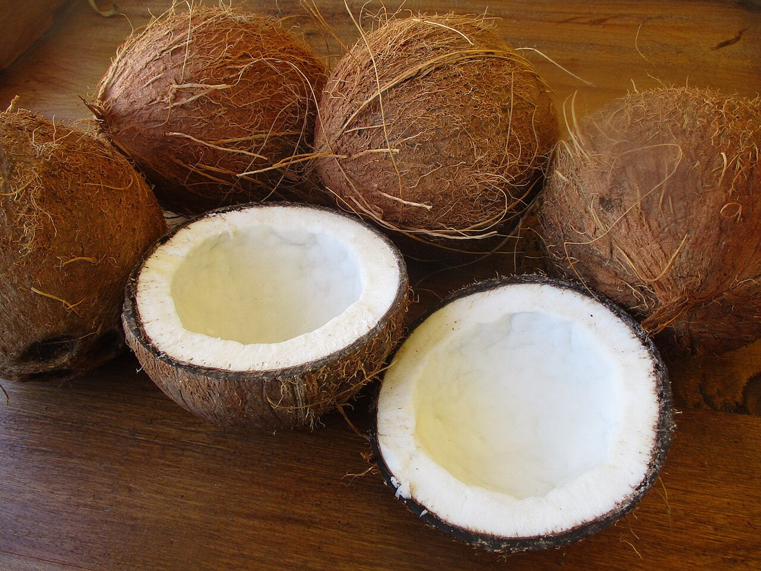 Huile de coco dans le savon : le secret d'une brique dure et moussante